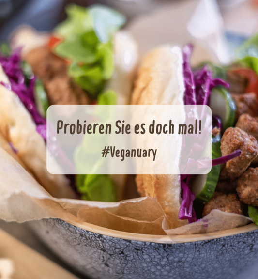 Probier's doch mal pflanzlich – zum Veganuary möhrengrün Hack-Allerlei als Fleischalternative
